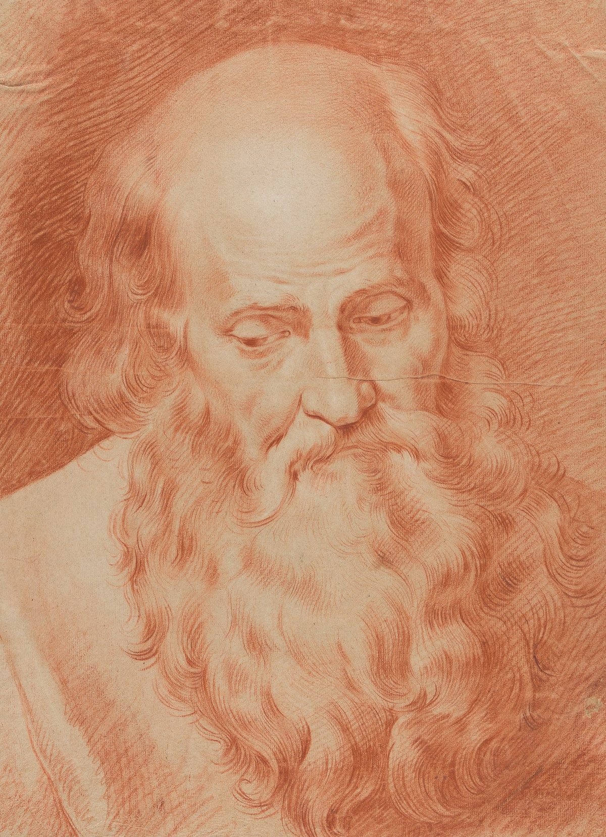 GERARD AUDRAN (Lyon 1640-1703 Paris) Head of a Bearded Old Man.